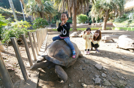 体感型動物園IZOOは子供に人気です