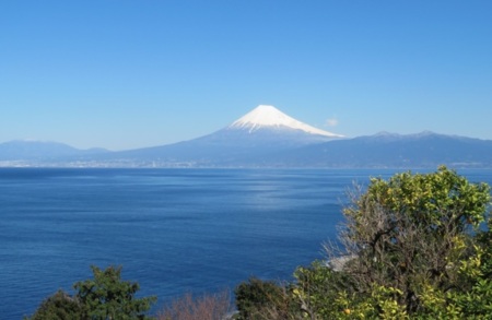 富士山と駿河湾が望める大型ログハウス